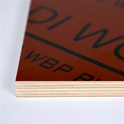 Šperploča presvučena smeđom folijom od 12 mm